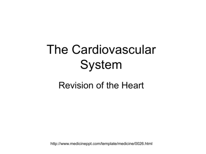 Regional write up cardiovascular system