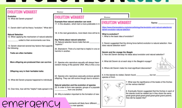 World war 1 webquest answer key pdf