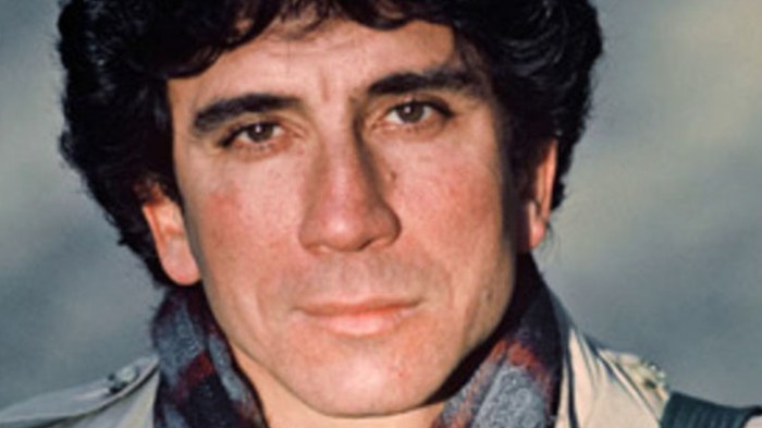 Reinaldo arenas