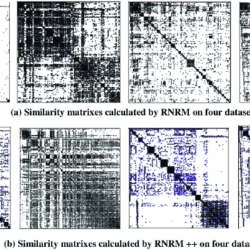 Click on the following figure to show the rnrm.