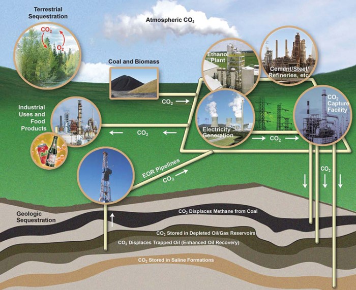 Which geologic process is illustrated in this animation