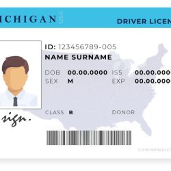 Operators license michigan